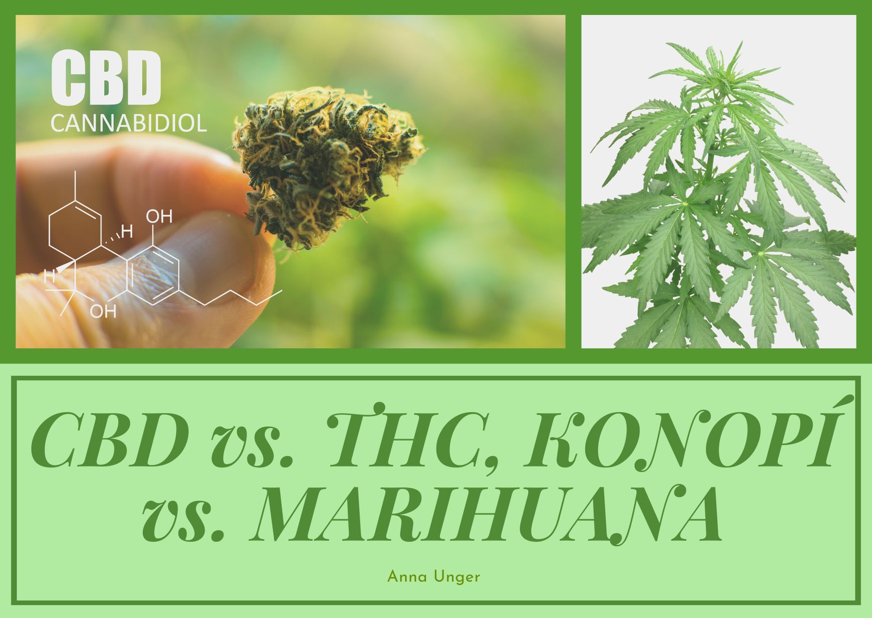 CBD vs. THC, KONOPÍ vs. MARIHUANA