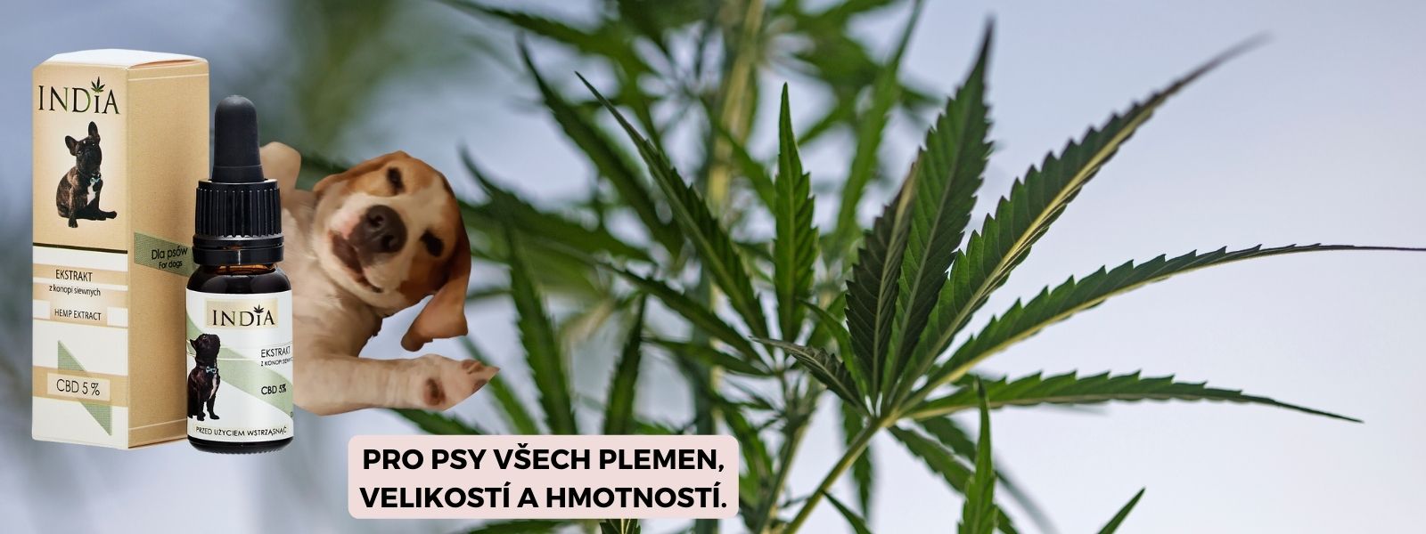 cbd-pro-psy-10ml