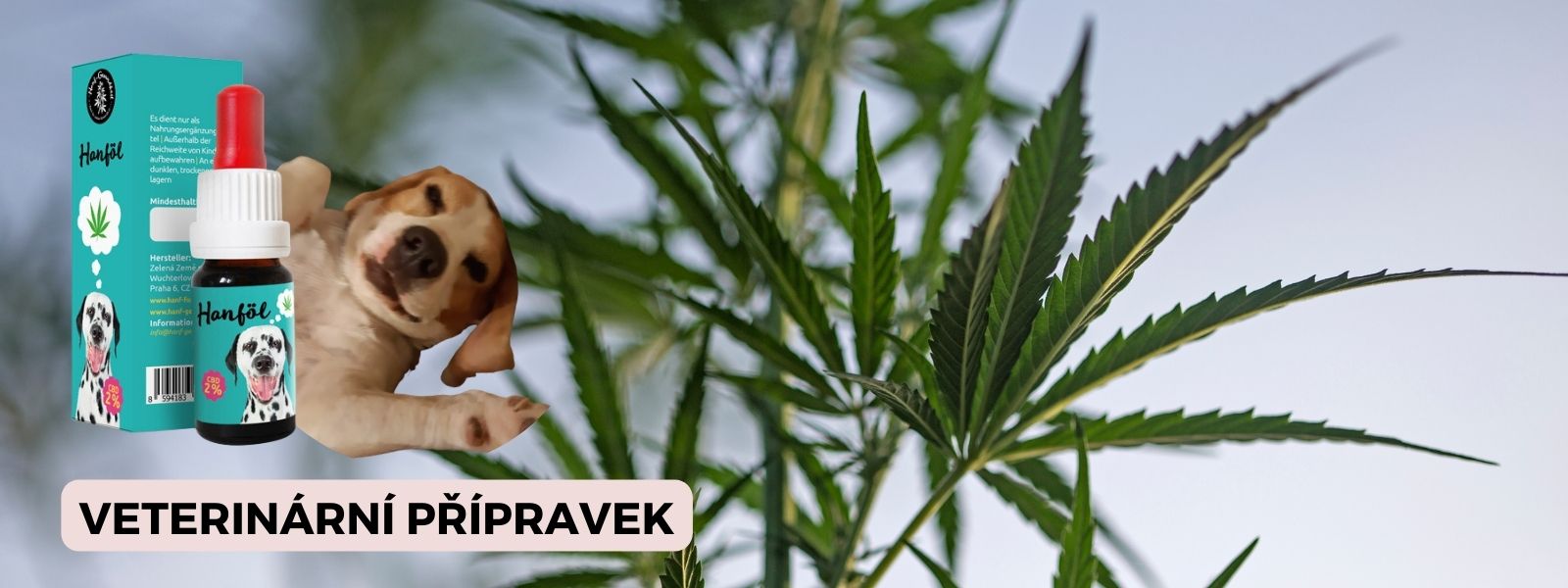 cbd-kapky-pro-psy-veterinarni-pripravek