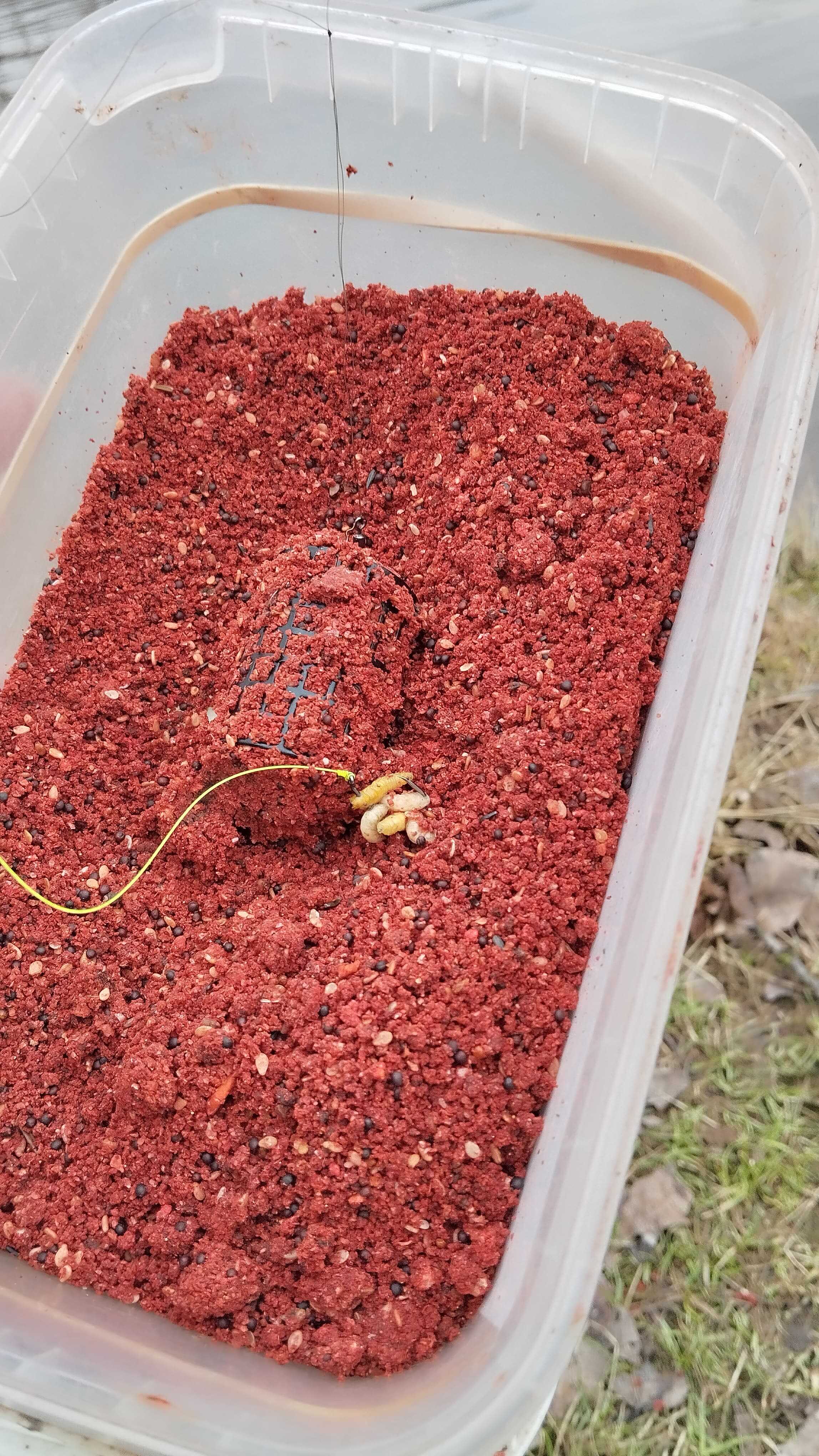 Zahájení na řece Labi