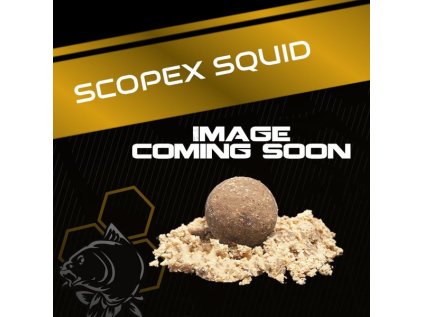 Squid Coming Soon.2e16d0ba.fill 600x600