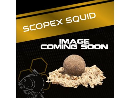Squid Coming Soon.2e16d0ba.fill 600x600