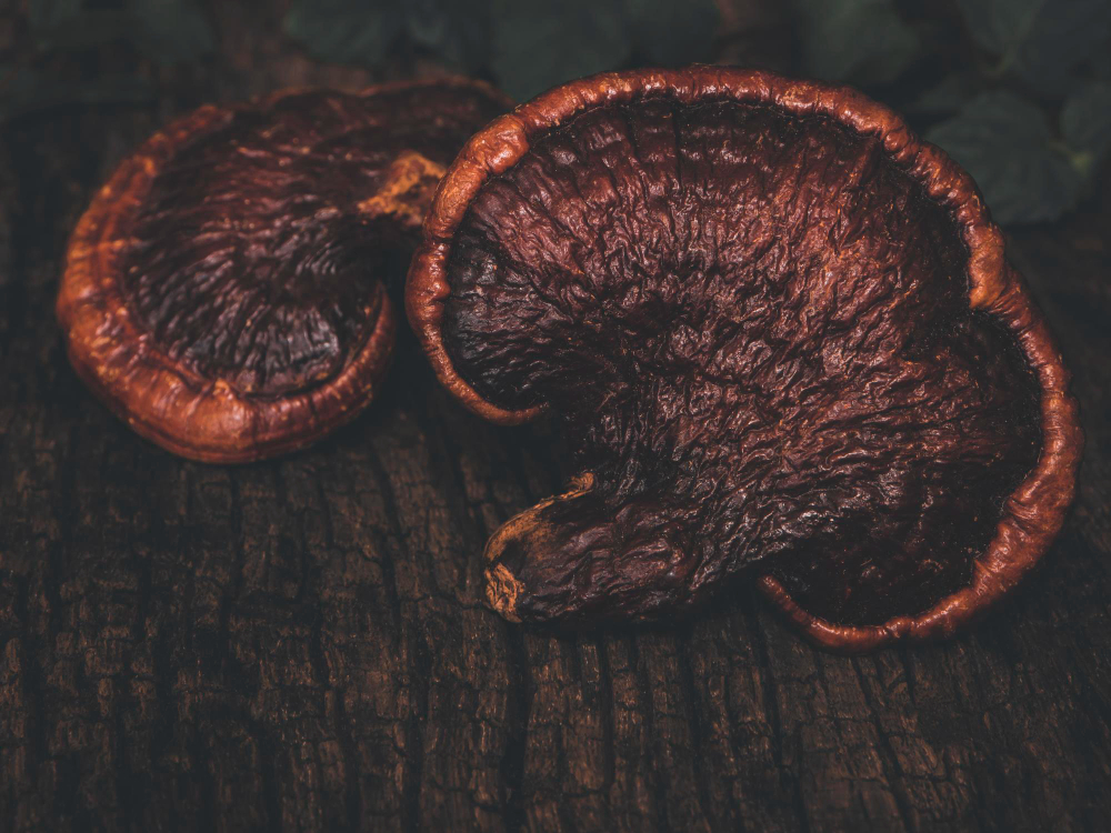 Ефектите на гъбата рейши: Защо е най-редката растение в китайската медицина?