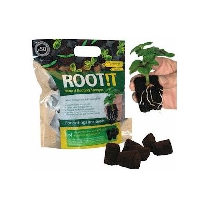 ROOT IT sadbovací kostky, 50ks
