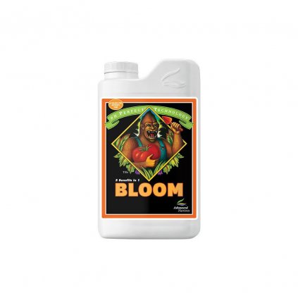 phBLOOM