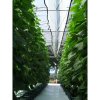 easy2grow autopot 06