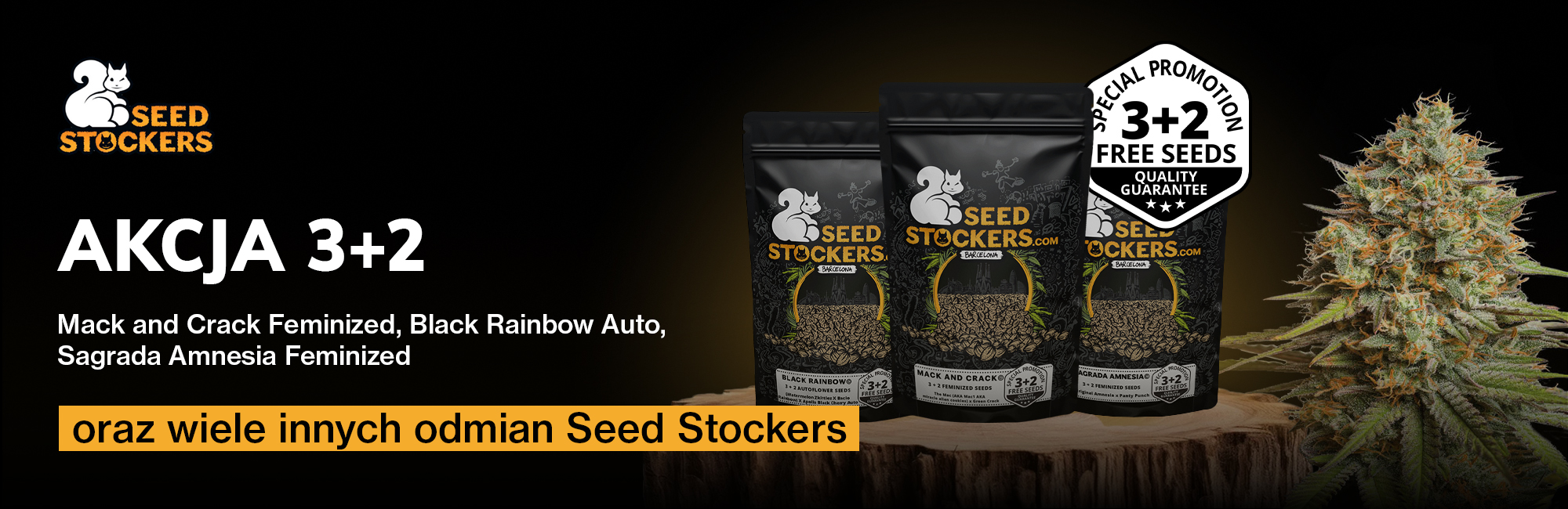 Seedstockers