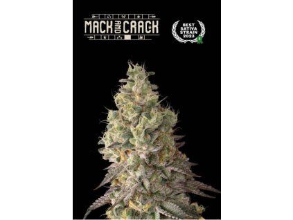 mack crack auto