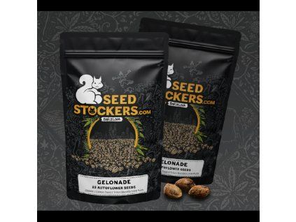 gelonade autoflower promo pack 15 seeds