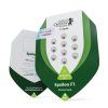 seminka konopi f1 hybrid