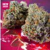 semena marihuany strawberry soda auto