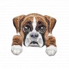 Nažehlovací nášivka Boxer, 4 x 3,8 cm