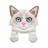 Nažehlovací nášivka Ragdoll kotě 3,2 x 4 cm