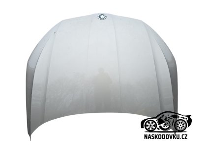 Přední kapota , přední víko , barva kapučíno Škoda Octavia IV , Škoda Octavia 4 ,  5E3823031A , 5E3 823 031 A