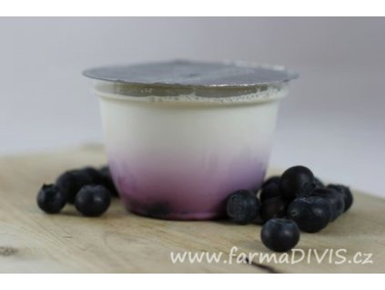 2016 1 03 jogurt boruvka