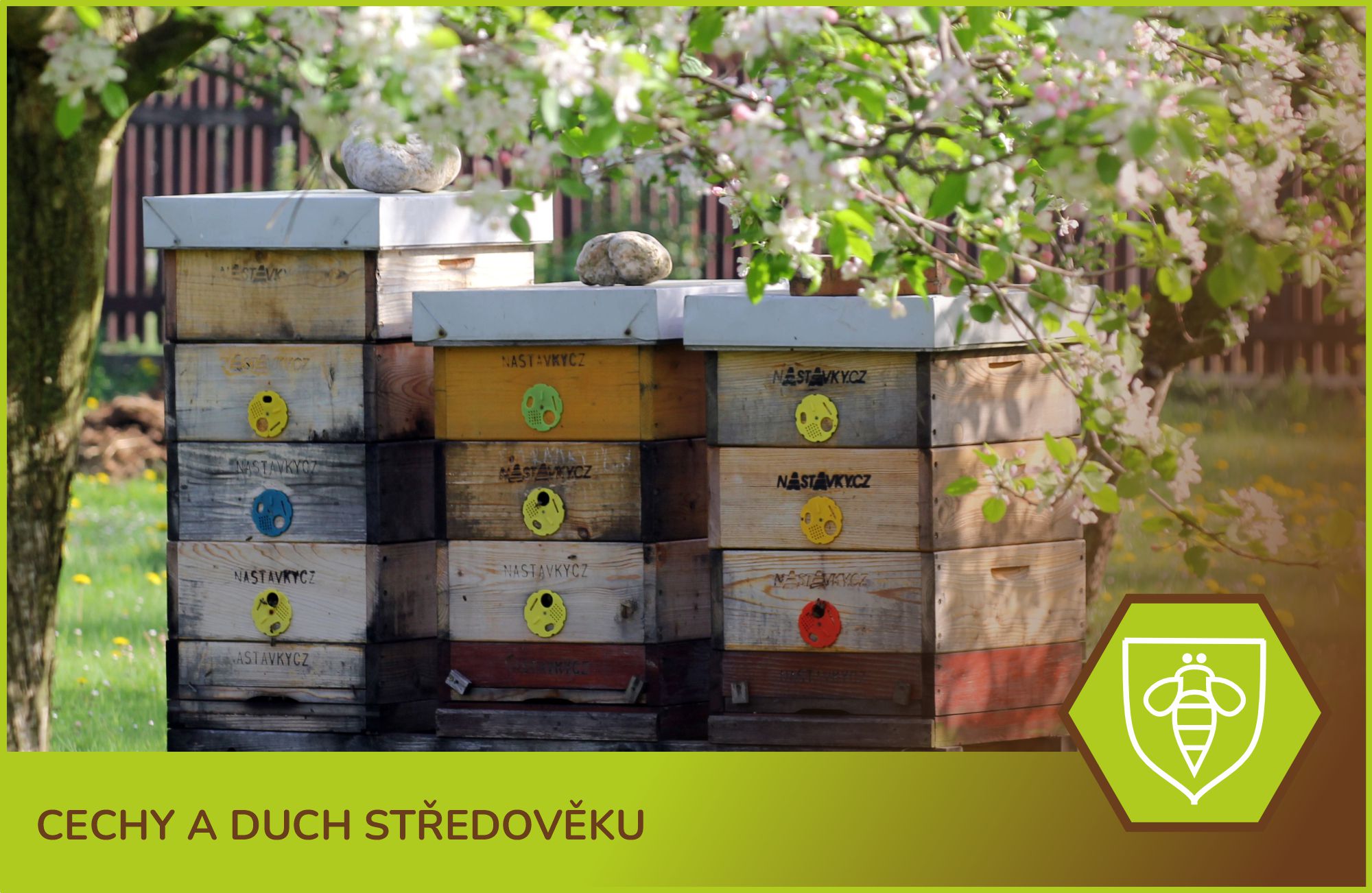 Cechy a duch středověku