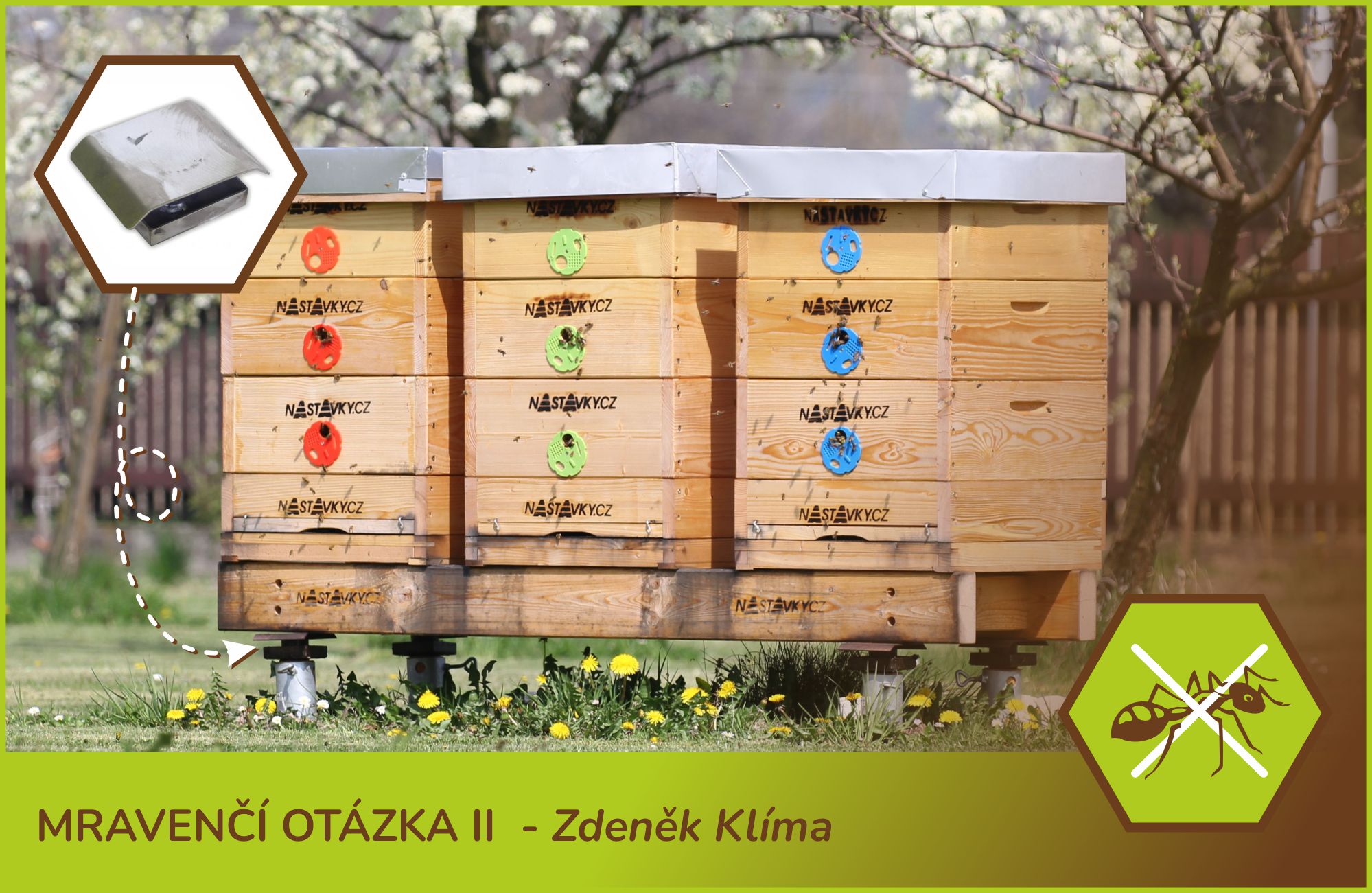 Mravenčí otázka II