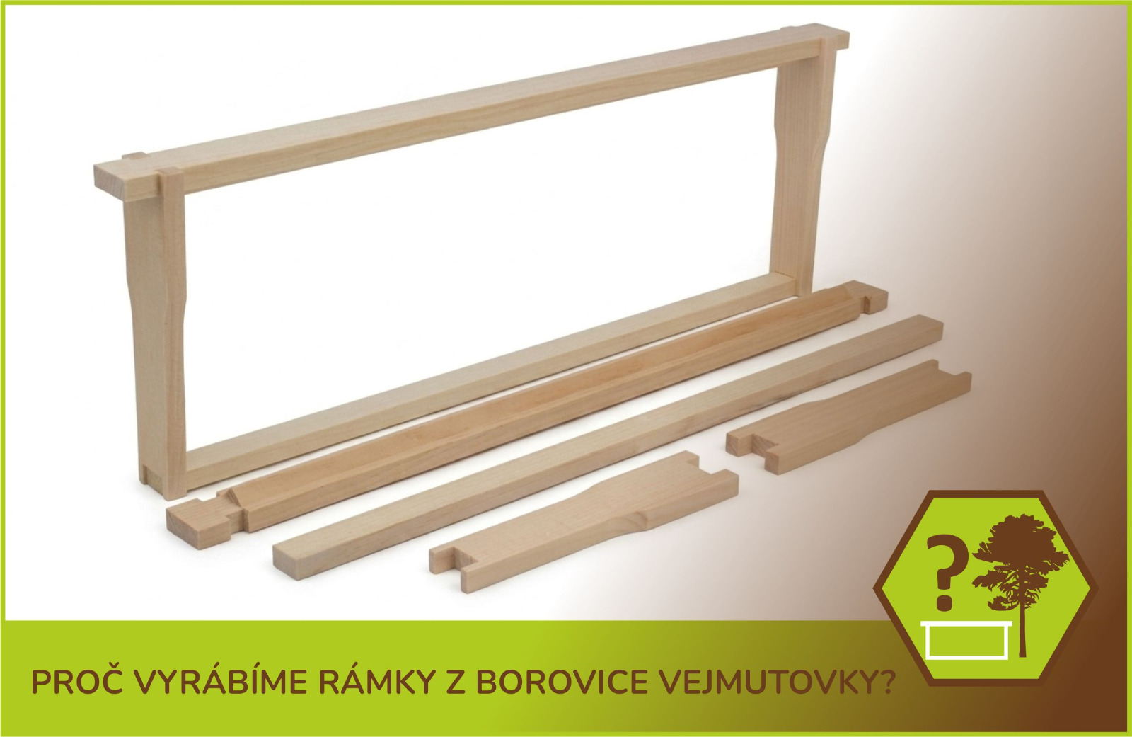 Proč vyrábíme rámky z borovice vejmutovky?