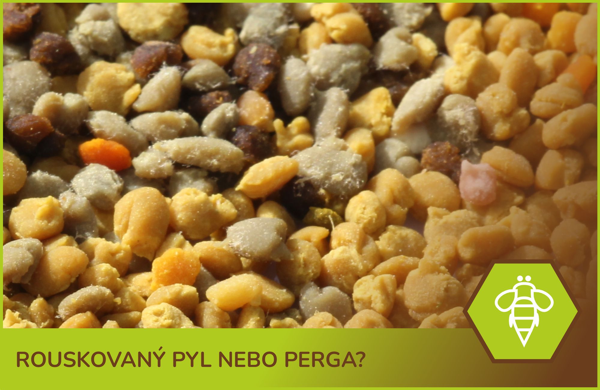 Rouskovaný pyl nebo perga?