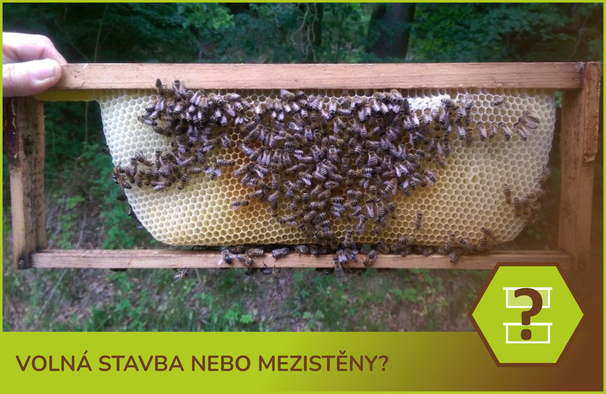 Volná stavba nebo mezistěny ?