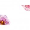 Villeroy&Boch Rose Garden prestieranie