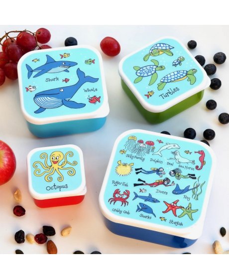 0009 ocean snackbox