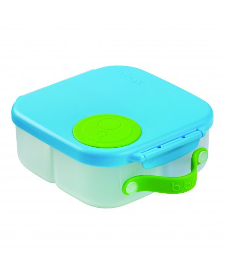Mini Lunchbox 10