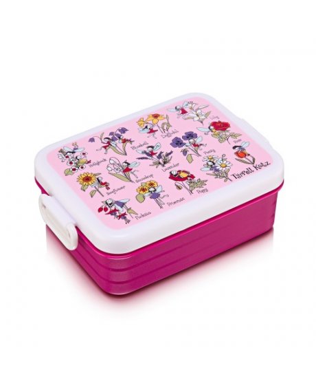 flower fairies lunchbox tyrrell katz