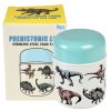 29679 prehistoric land food container