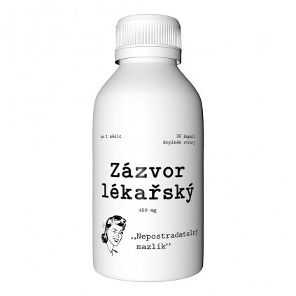 na WEB Zázvor lékařský 02