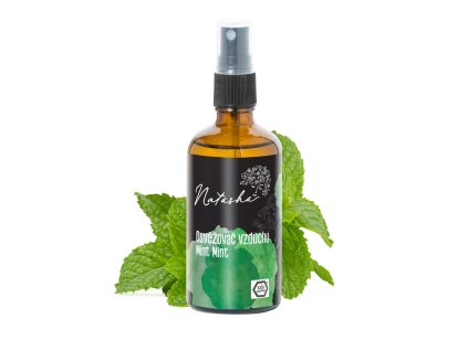 osvezovac vzduchu mint mint 1