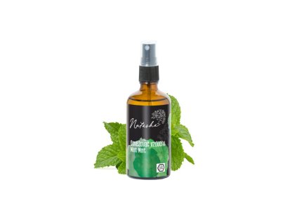 Natasha Osvěžovač vzduchu Mint Mint 100 ml
