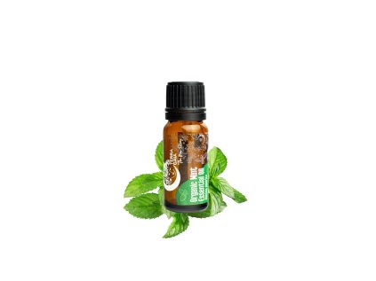 terra gaia organic essential oil mint 10ml
