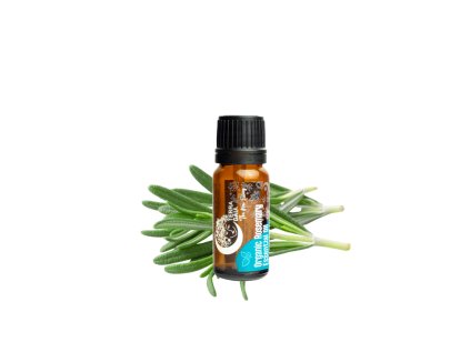 Organic essential oil rosemary
