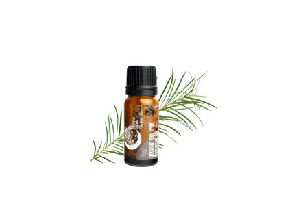 Organic essential oil tea tree