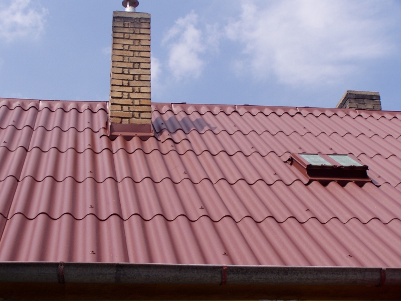 Meffert MF 1000 (MD ROOF) Dachbeschichtung - odstín rotbraun