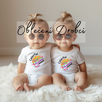 Drobci