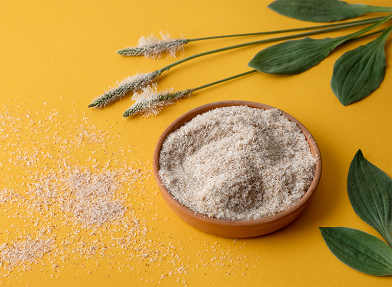 Škodí psyllium? Reálný vliv psyllia na naše zdraví