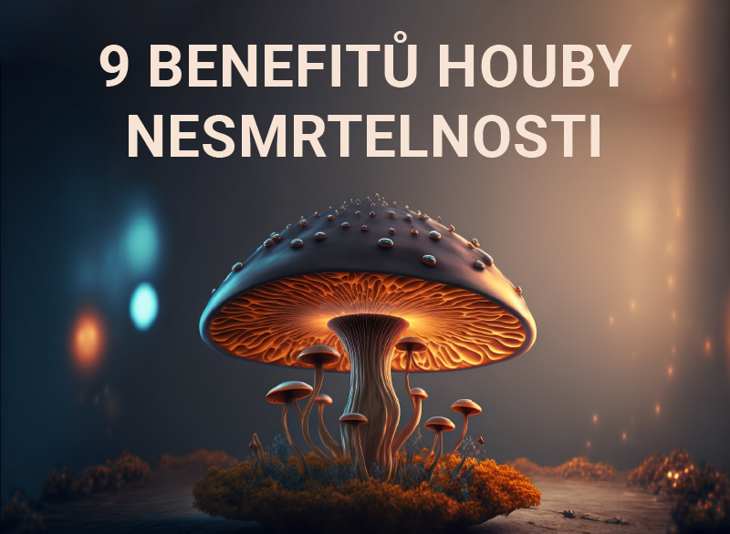 Proč se Reishi přezdívá houba nesmrtelnosti?