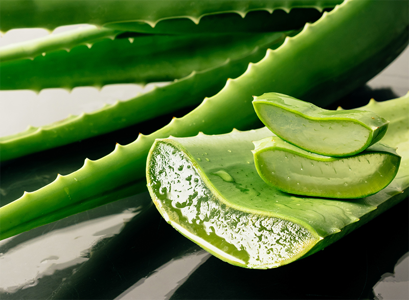 Léčivé vlastnosti aloe vera: Jak ji využít naplno?