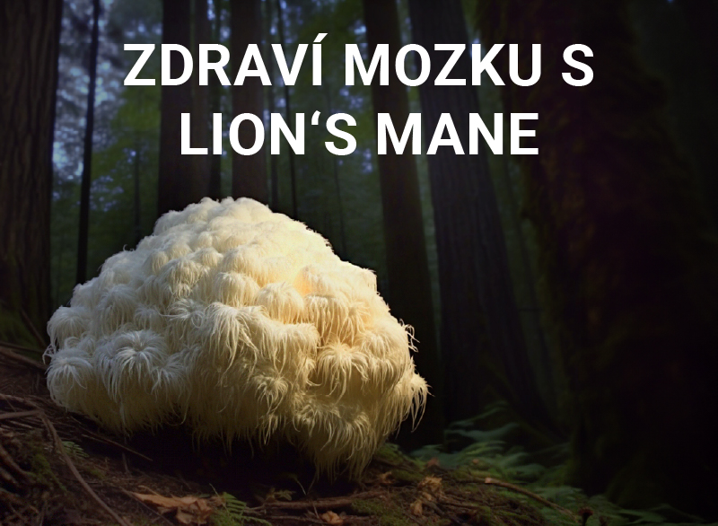 Houba Lion's Mane: Přírodní neurologický zázrak?