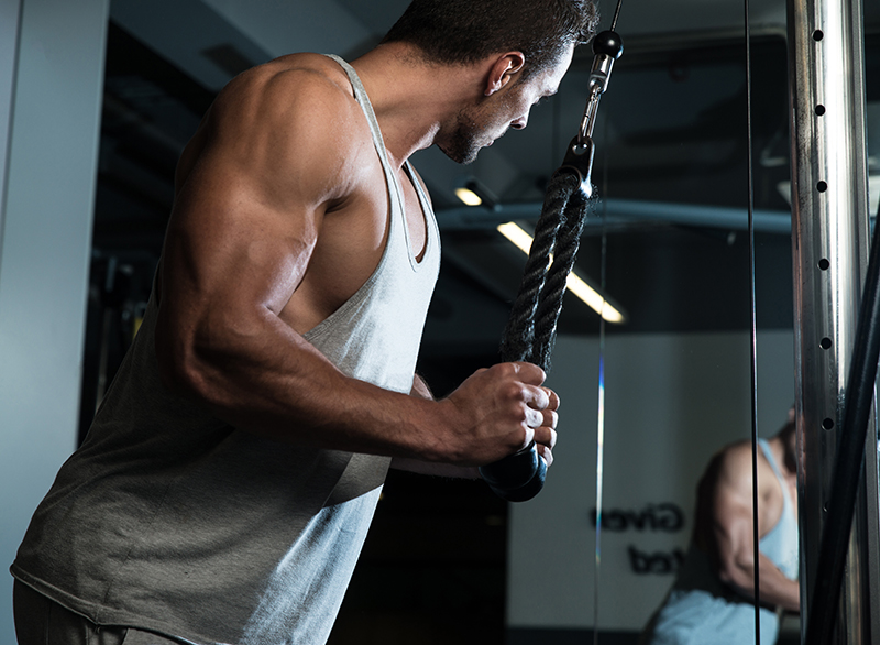 Nejlepší cviky na triceps: Jak budovat silné a tvarované paže?