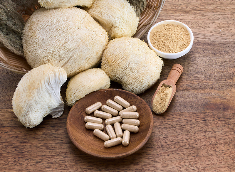 Porovnání léčivých hub: Která je pro vás nejlepší?