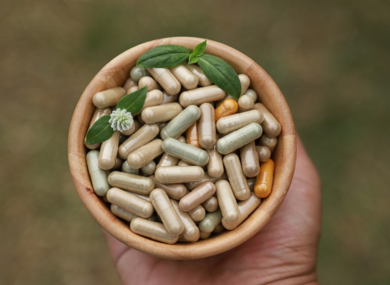 Prebiotická vláknina jako doplněk: inulin, FOS a psyllium
