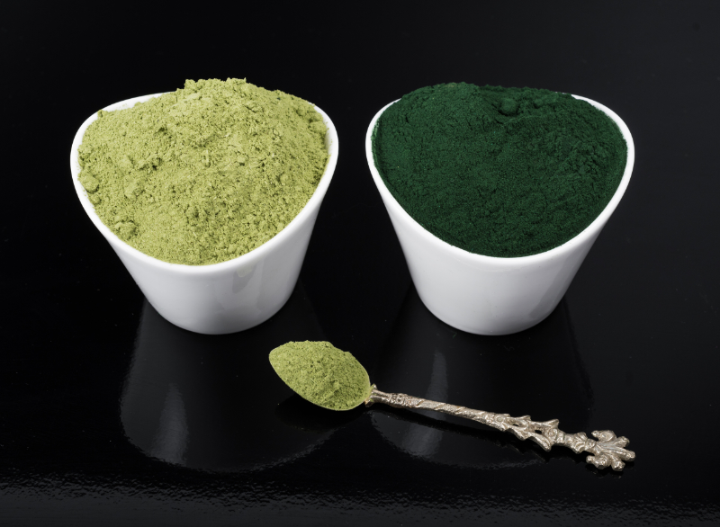 Spirulina a chlorella: jaký je rozdíl a co vybrat