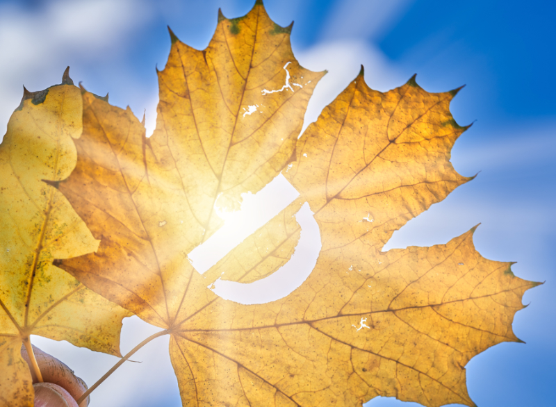 Jak a kdy užívat vitamín D?