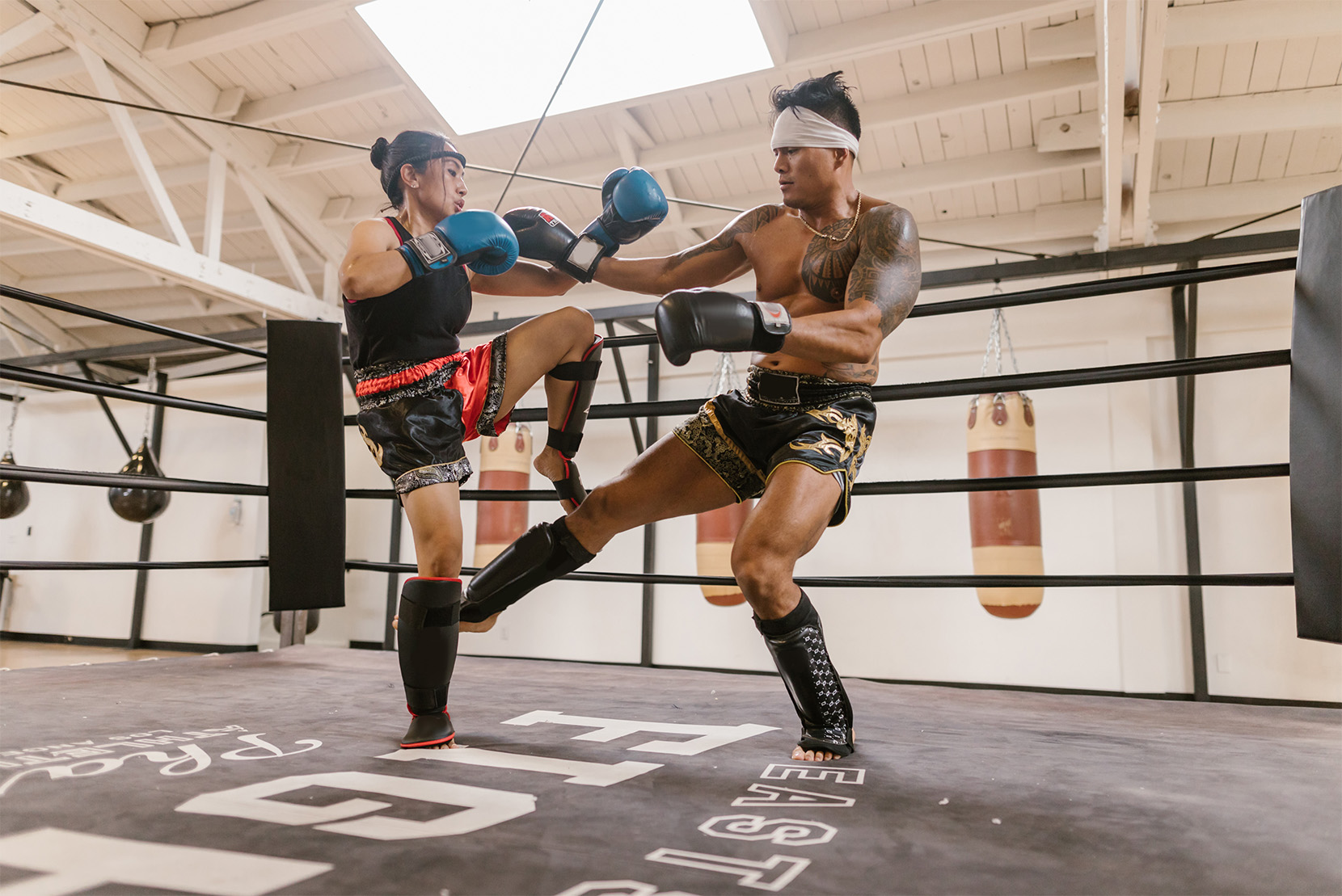 sparing-trénink-mma