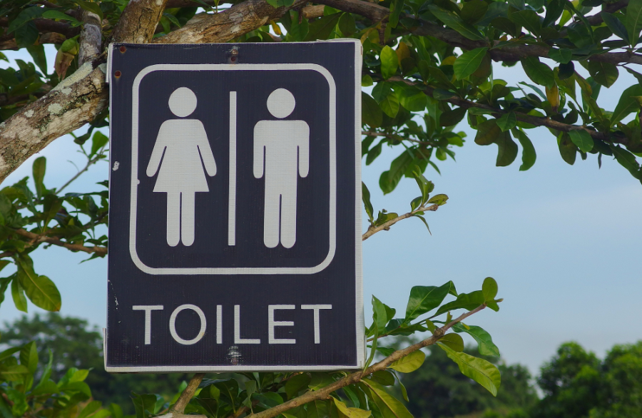 toilet