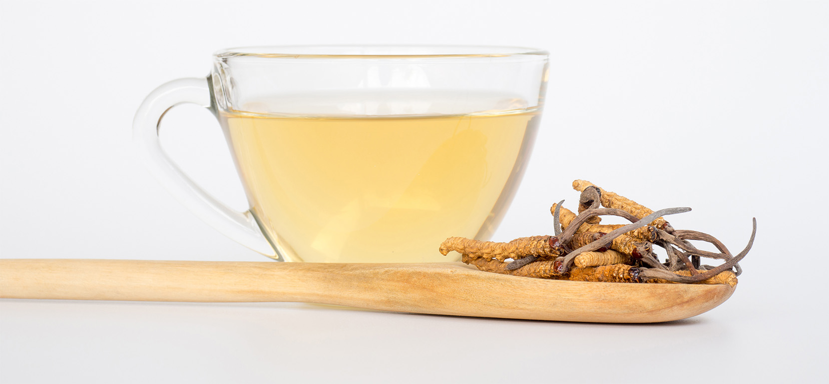 cordyceps_čaj