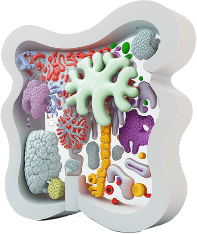 Gut health natios natima-min
